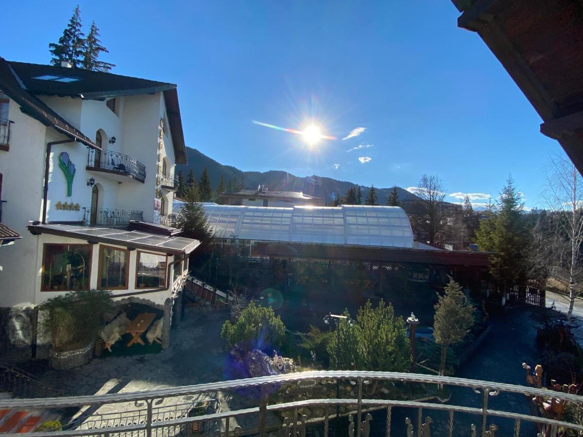 Pensiunea Crocus - Sauna & Billiard Poiana Brașov Exterior foto